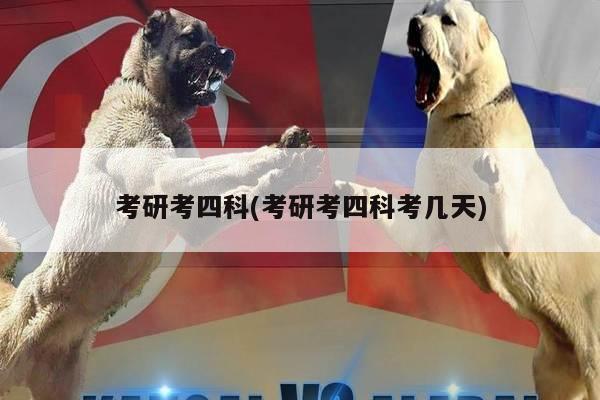 考研考四科(考研考四科考几天)
