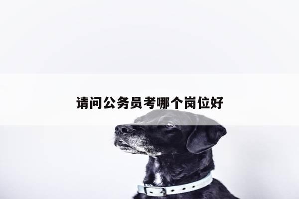 请问公务员考哪个岗位好
