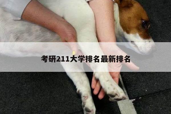 考研211大学排名最新排名
