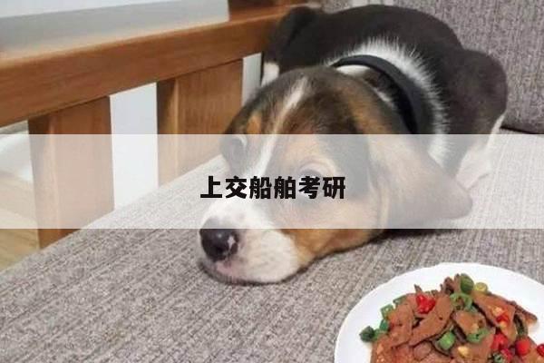 上交船舶考研