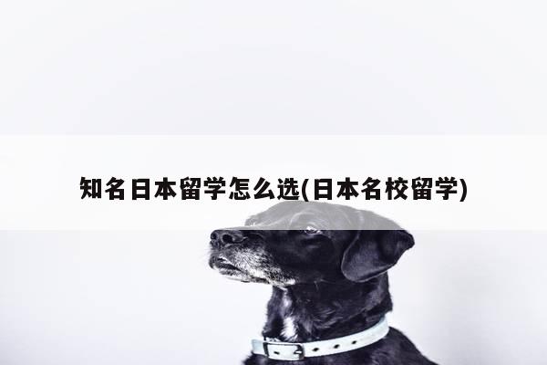 知名日本留学怎么选(日本名校留学)