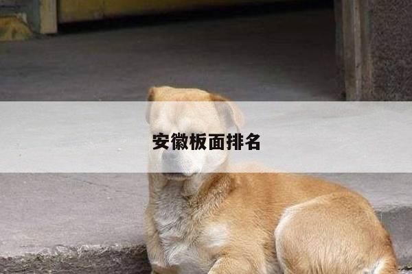 安徽板面排名