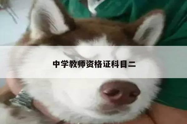 中学教师资格证科目二