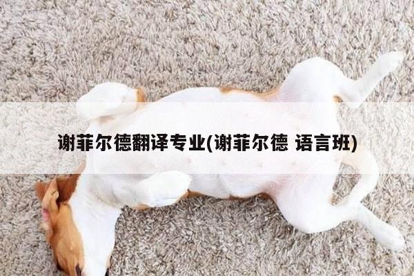 谢菲尔德翻译专业(谢菲尔德 语言班)