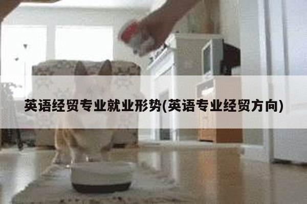 英语经贸专业就业形势(英语专业经贸方向)