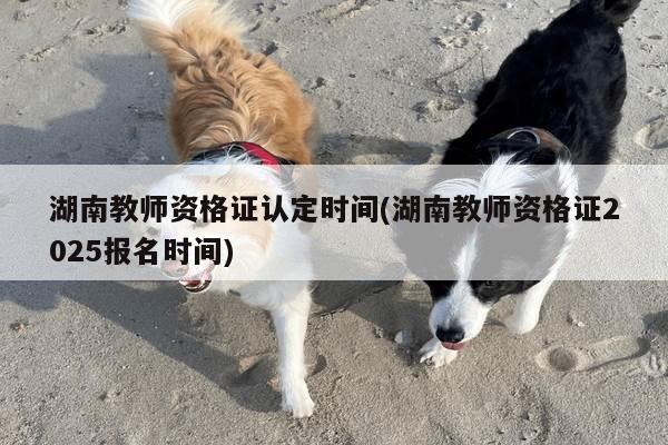 湖南教师资格证认定时间(湖南教师资格证2025报名时间)