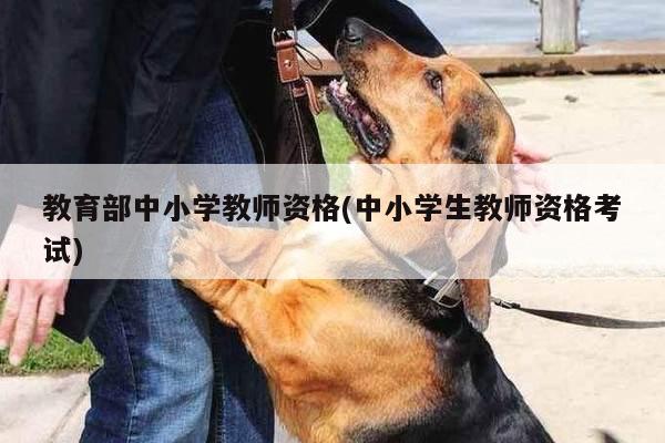 教育部中小学教师资格(中小学生教师资格考试)