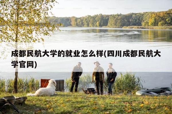 成都民航大学的就业怎么样(四川成都民航大学官网)