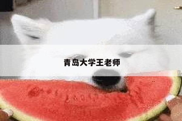 青岛大学王老师