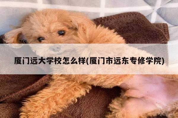 厦门远大学校怎么样(厦门市远东专修学院)