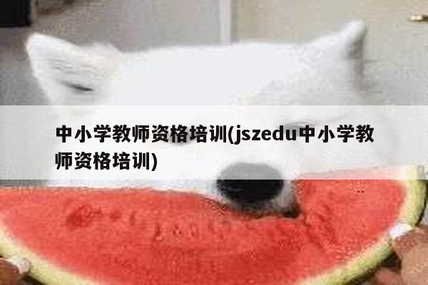 中小学教师资格培训(jszedu中小学教师资格培训)