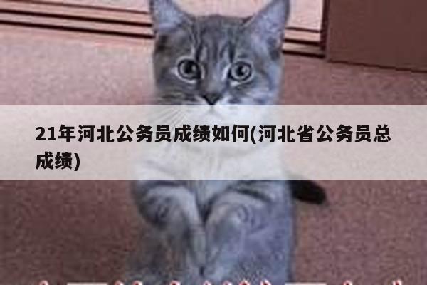 21年河北公务员成绩如何(河北省公务员总成绩)