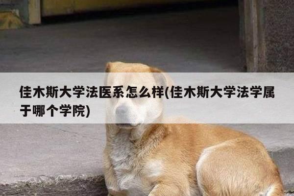 佳木斯大学法医系怎么样(佳木斯大学法学属于哪个学院)