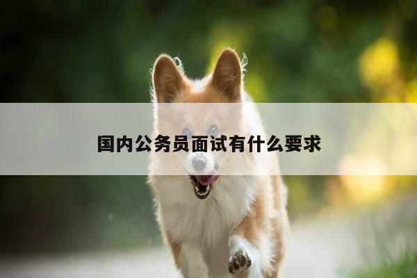 国内公务员面试有什么要求