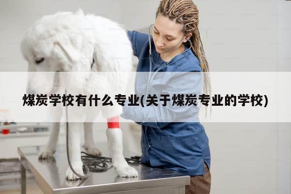煤炭学校有什么专业(关于煤炭专业的学校)