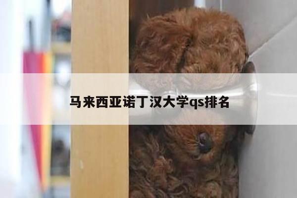 马来西亚诺丁汉大学qs排名