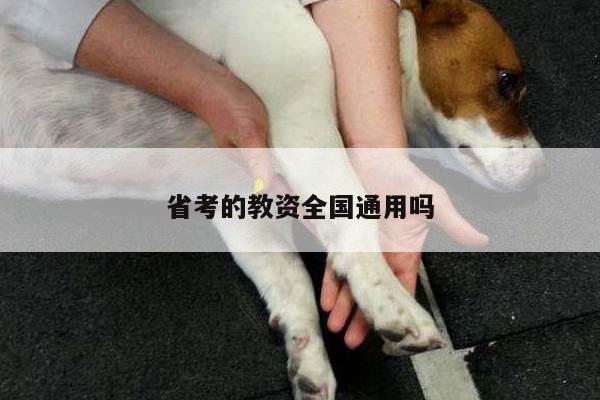 省考的教资全国通用吗