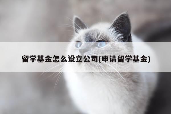 留学基金怎么设立公司(申请留学基金)