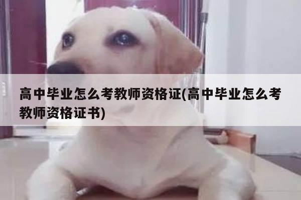 高中毕业怎么考教师资格证(高中毕业怎么考教师资格证书)