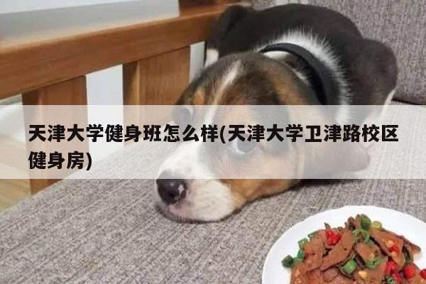 天津大学健身班怎么样(天津大学卫津路校区健身房)
