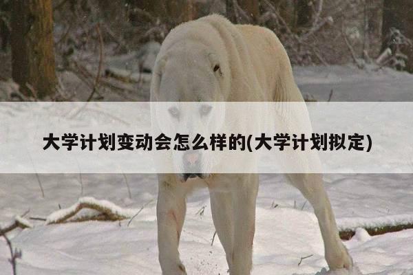 大学计划变动会怎么样的(大学计划拟定)