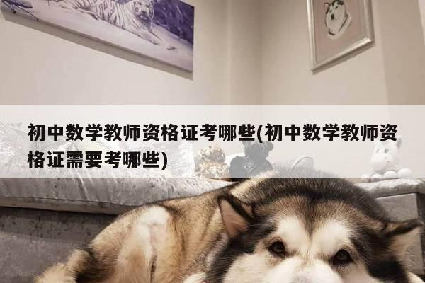 初中数学教师资格证考哪些(初中数学教师资格证需要考哪些)