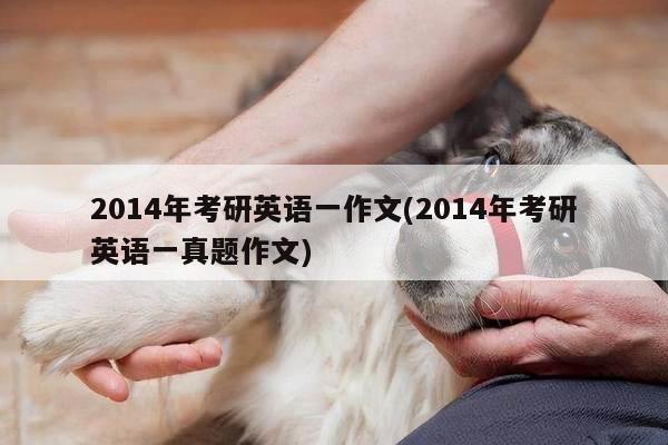2014年考研英语一作文(2014年考研英语一真题作文)