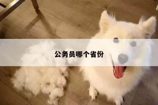 公务员哪个省份
