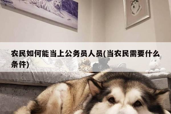农民如何能当上公务员人员(当农民需要什么条件)