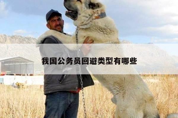 我国公务员回避类型有哪些