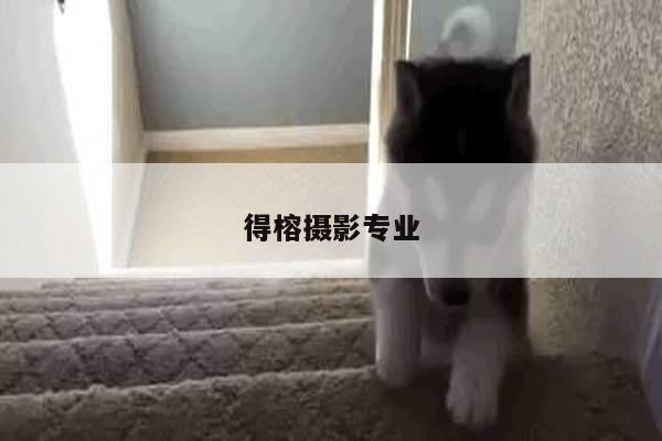 得榕摄影专业