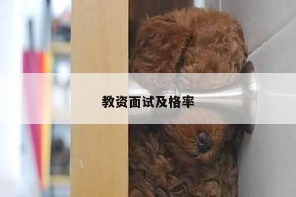 教资面试及格率