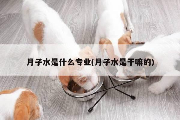 月子水是什么专业(月子水是干嘛的)