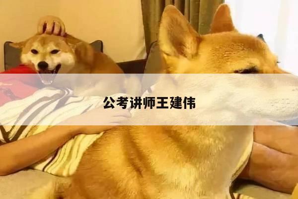 公考讲师王建伟