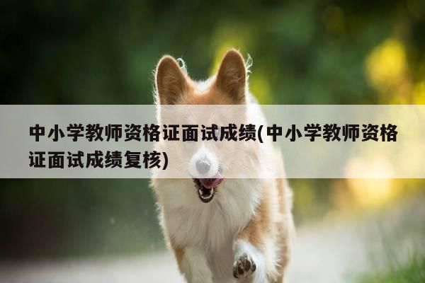 中小学教师资格证面试成绩(中小学教师资格证面试成绩复核)