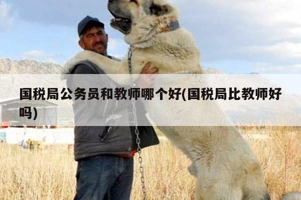 国税局公务员和教师哪个好(国税局比教师好吗)
