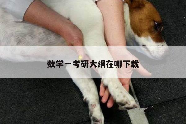 数学一考研大纲在哪下载