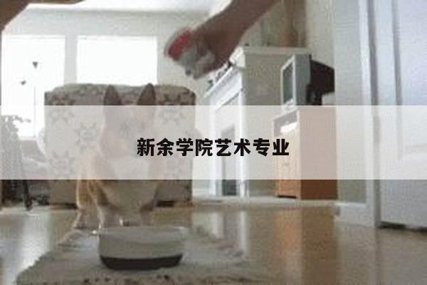新余学院艺术专业