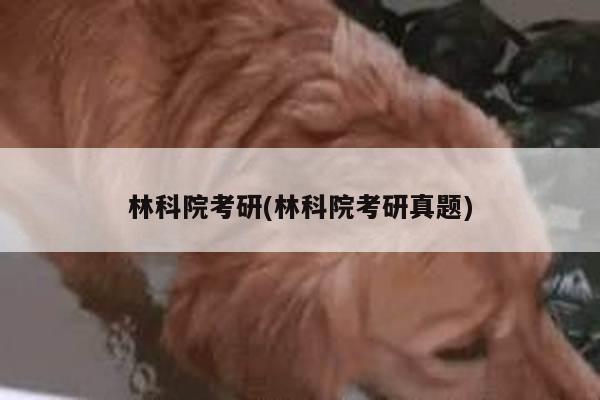 林科院考研(林科院考研真题)