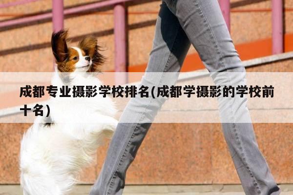 成都专业摄影学校排名(成都学摄影的学校前十名)