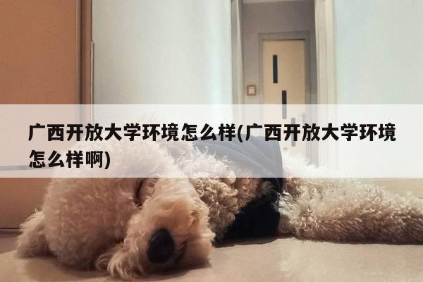 广西开放大学环境怎么样(广西开放大学环境怎么样啊)