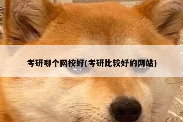 考研哪个网校好(考研比较好的网站)