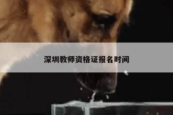 深圳教师资格证报名时间
