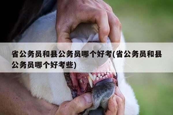 省公务员和县公务员哪个好考(省公务员和县公务员哪个好考些)