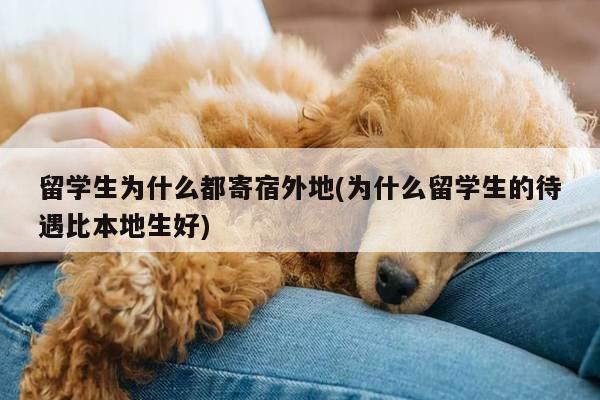 留学生为什么都寄宿外地(为什么留学生的待遇比本地生好)