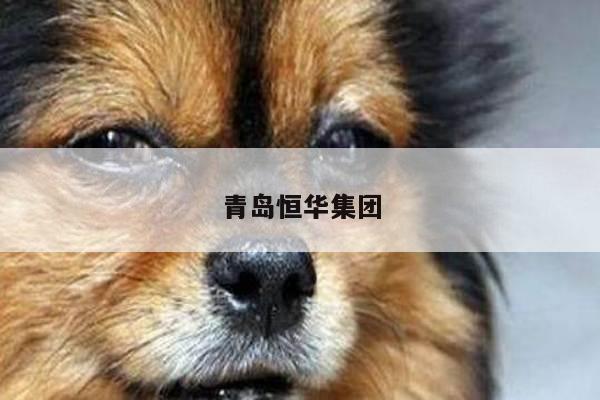 青岛恒华集团