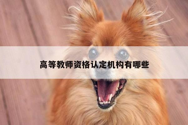高等教师资格认定机构有哪些