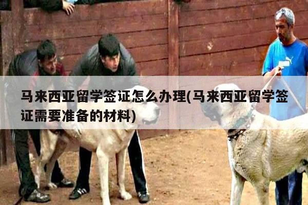 马来西亚留学签证怎么办理(马来西亚留学签证需要准备的材料)