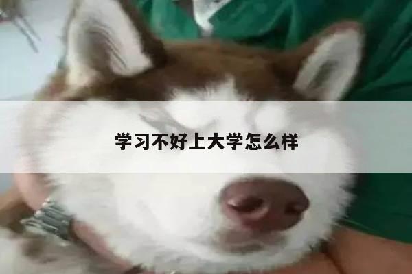 学习不好上大学怎么样