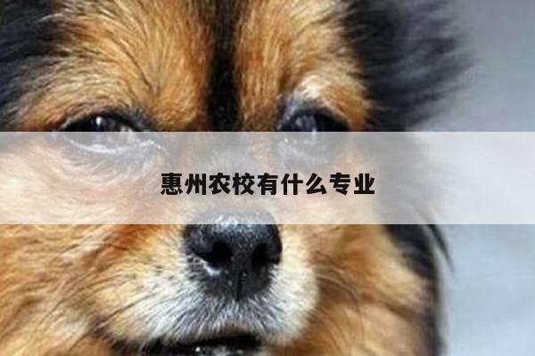惠州农校有什么专业